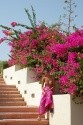 Moje maličkost:-)