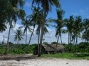 Diani beach